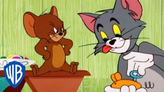 tom jerry